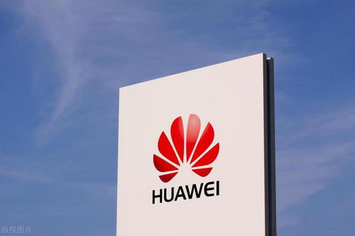 華為為何請劉德華代言 任正非乃取名的高手,皆傳統文化教育思想