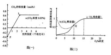在一定實驗條件下.測得某綠色植物的光合作用和細胞呼吸分別如圖所示.用32p標(biāo)記的礦質(zhì)營養(yǎng)液培養(yǎng)某植物幼苗一段時間后.在根細胞中檢測和推斷32p的累積量.吸收量和運輸量如圖