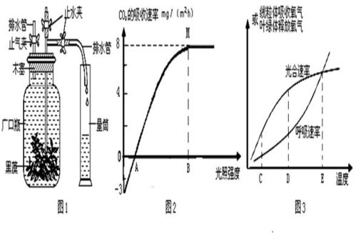 一飛船在某行星表面附近沿圓軌道繞該行星飛行.認為行星是密度均勻的球體.要確定該行星的密度.只需要測量 a.飛船的軌道半徑 b.飛船的的運行速度 c.飛船的運行周期