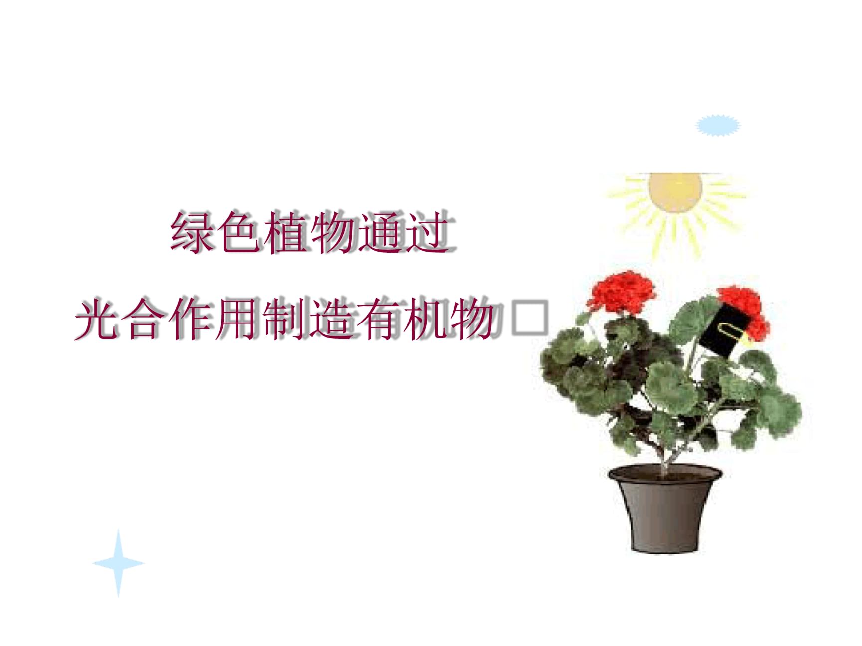 初中版光合作用[文字可編輯].ppt